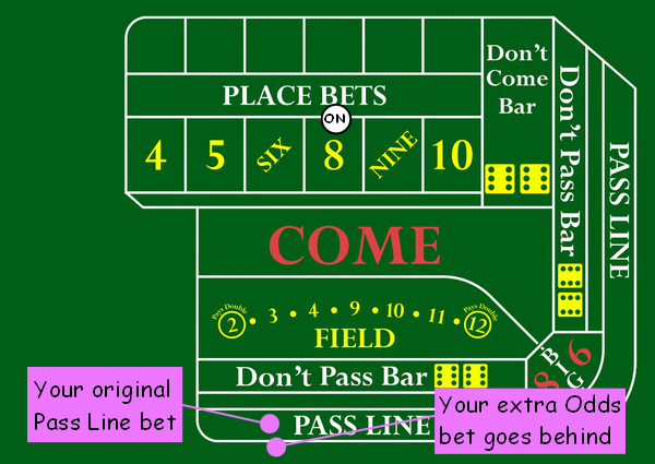 Two up betting rules for craps accuform dash cap